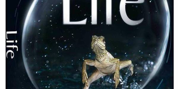 Immagine decorativa per il contenuto Registi diversi "Life"