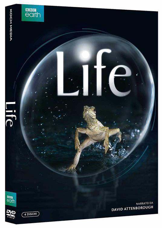 copertina copertina