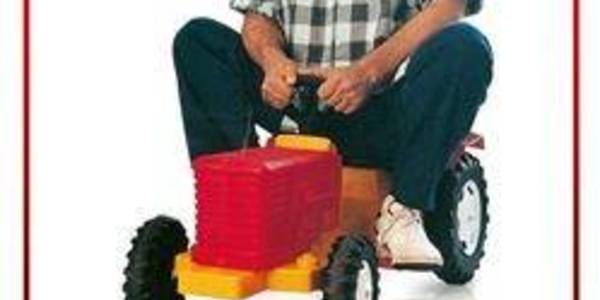 Immagine decorativa per il contenuto AMURRI FRANCO "Da grande"