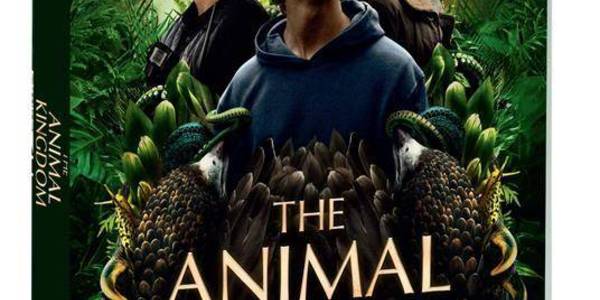 Immagine decorativa per il contenuto CAILLEY THOMAS "Animal kingdom (The)"