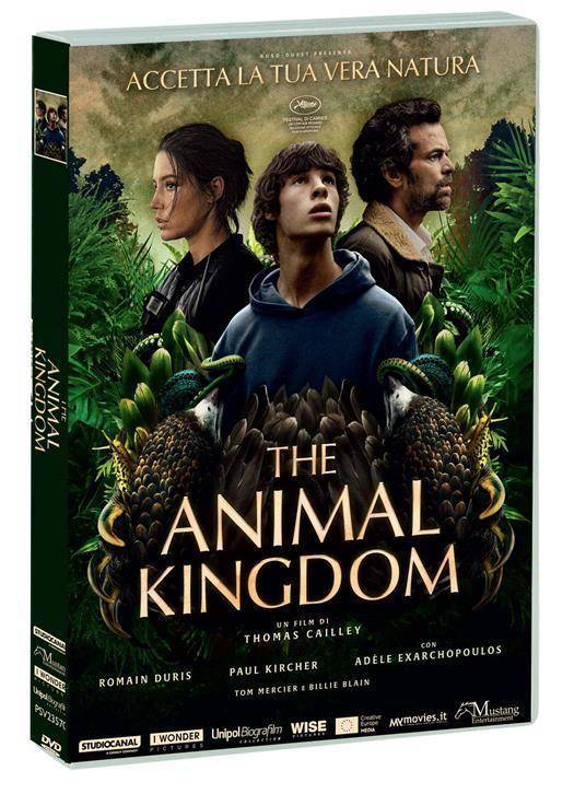copertina