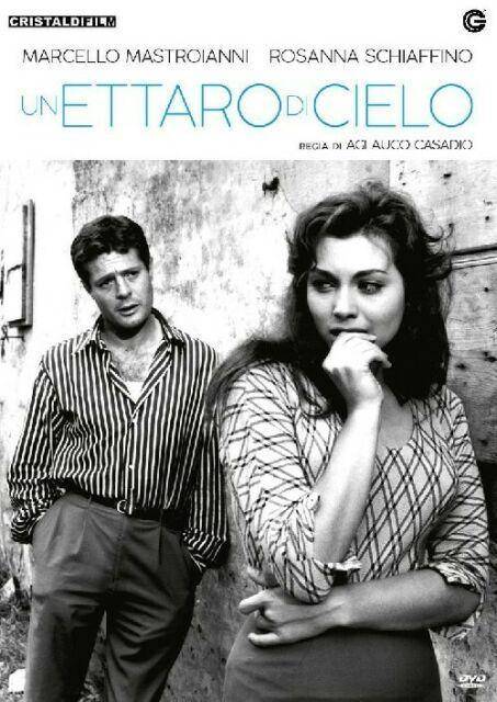 copertina copertina