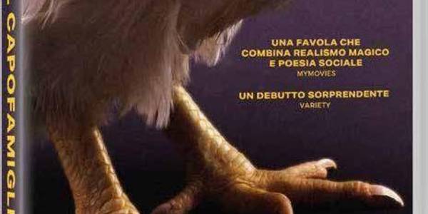 Immagine decorativa per il contenuto EL ZOHAIRI OMAR "Capofamiglia (Il)"