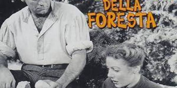 Immagine decorativa per il contenuto FOSTER NORMAN "Vagabondo della foresta (Il)"