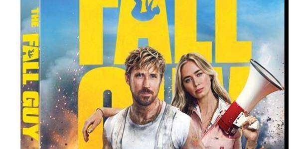 Immagine decorativa per il contenuto LEITCH DAVID "Fall guy (The)"