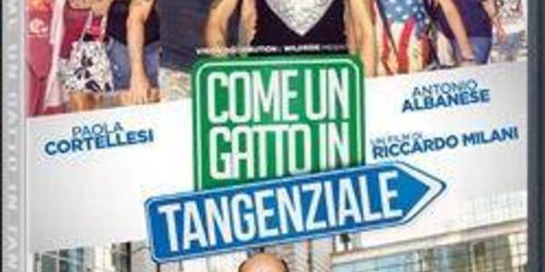 Immagine decorativa per il contenuto MILANI RICCARDO "Come un gatto in tangenziale"