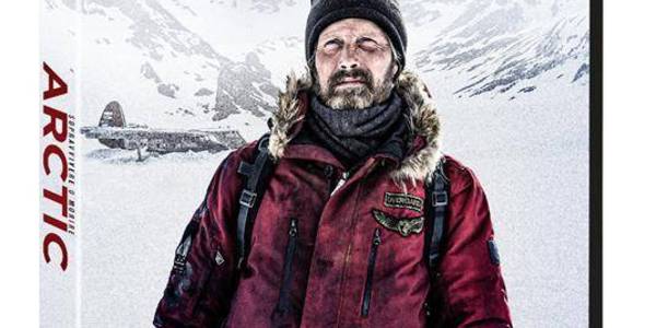 Immagine decorativa per il contenuto PENNA JOE "Arctic"