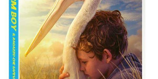 Immagine decorativa per il contenuto SEET SHAWN "Storm boy"