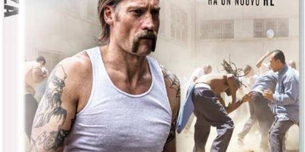 Immagine decorativa per il contenuto WAUGH RIC ROMAN "Fratellanza (La)"