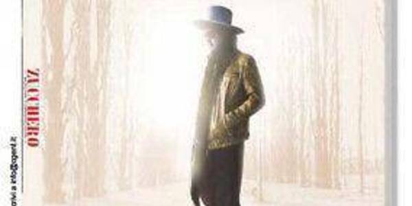 Immagine decorativa per il contenuto ZANELLA VALENTINA, DE STEFANO GIANCIACOMO. "Zucchero Sugar Fornaciari"