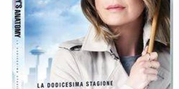 Immagine decorativa per il contenuto Grey's anatomy. Dodicesima serie