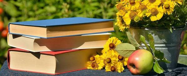 Immagine decorativa per il contenuto Estate 2025: orari e chiusure