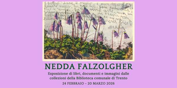 Immagine decorativa per il contenuto Nedda Falzolgher
