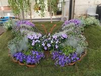 immagine decorativa