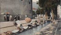 immagine decorativa