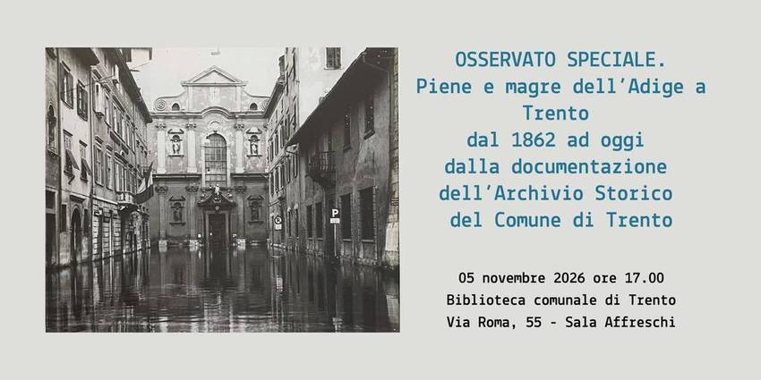 immagine decorativa