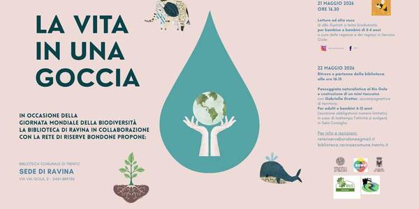 Immagine decorativa per il contenuto La vita di una goccia